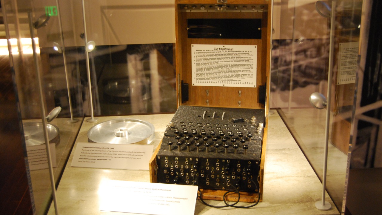 Image Credit: Bill Abbott - CC BY-SA 2.0/Wiki Commons