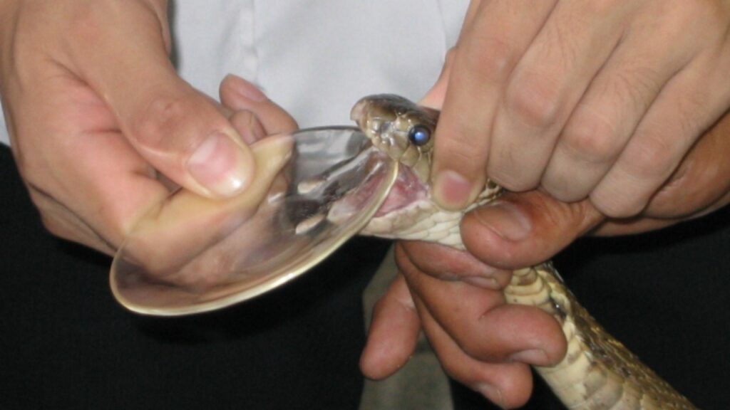 Image Credit: Barry Rogge - CC BY 2.0/Wiki Commons