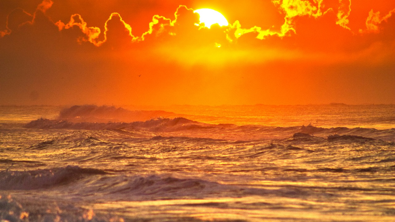 cbpsc1/Unsplash