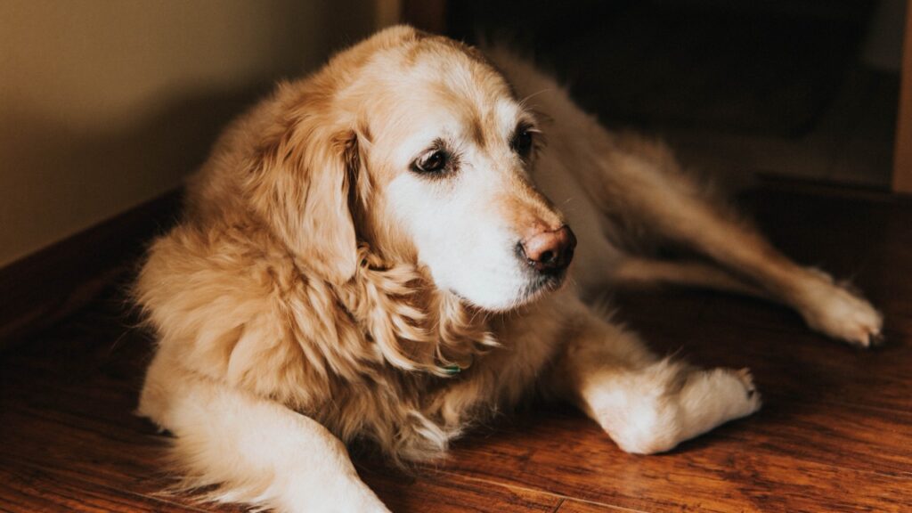 kaitlynma/Unsplash