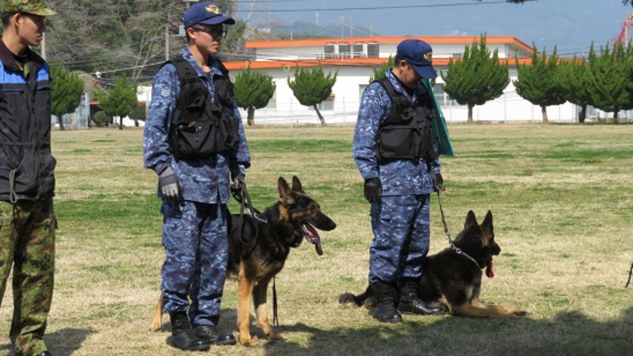 Image Credit: Japanese Maritime Self-Defense Forces - CC BY 4.0/Wiki Commons
