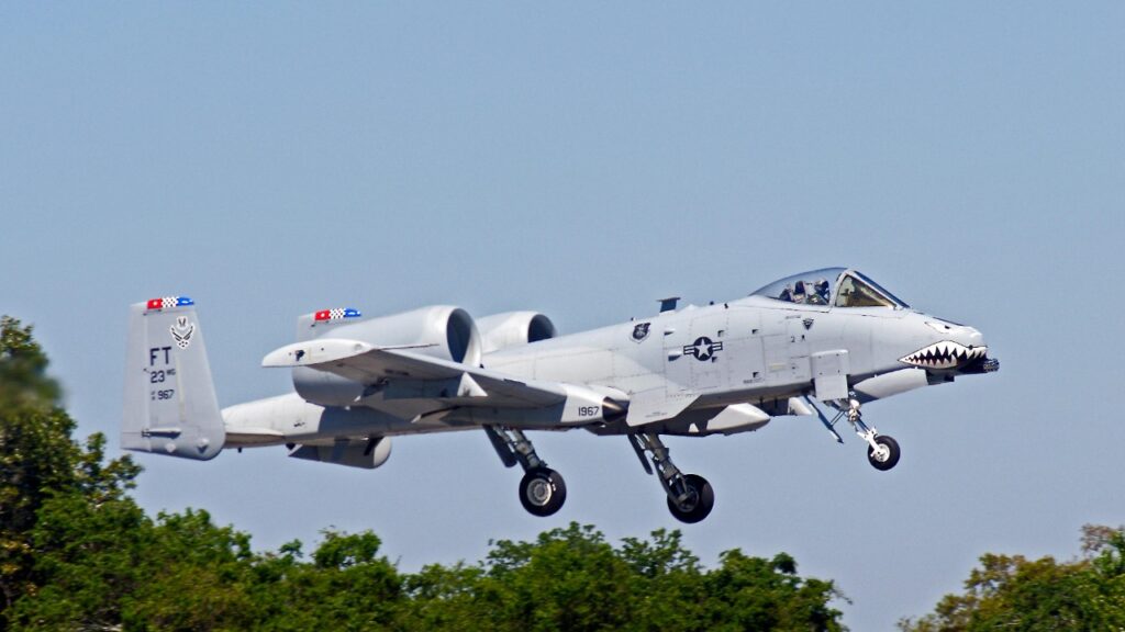 Phyllis Lilienthal/Pexels