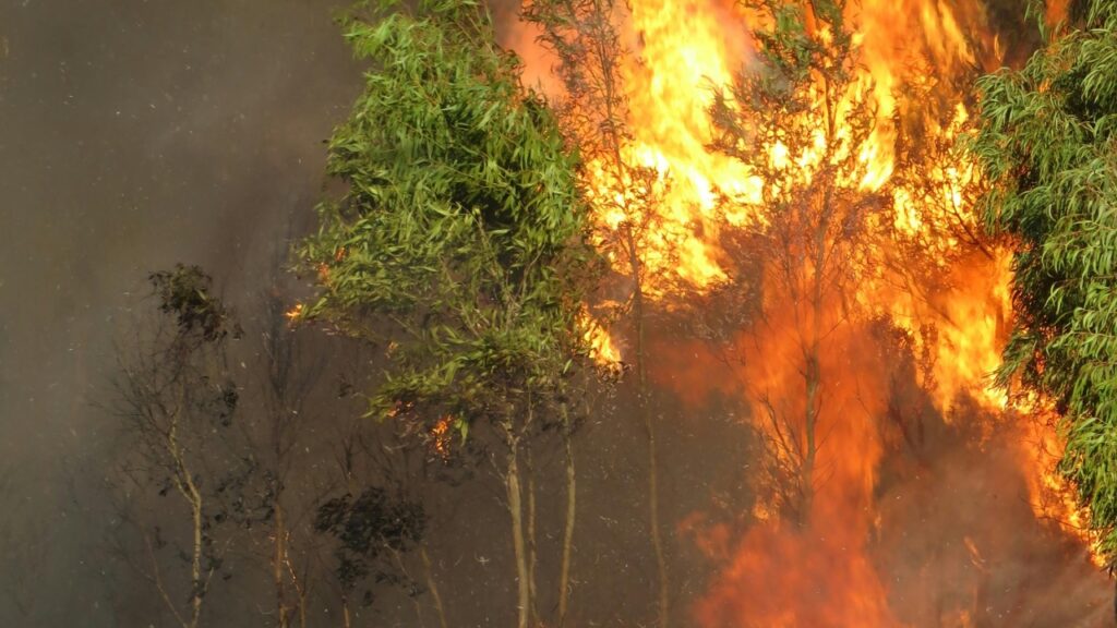 Laureen Raftopulos/Pexels