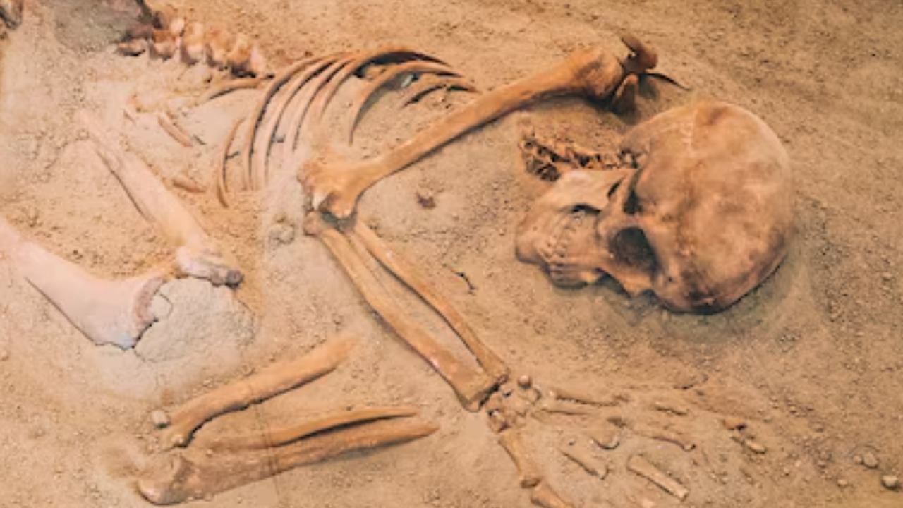 7,000-Year-Old human Skeletons From the 'Green Sahara'