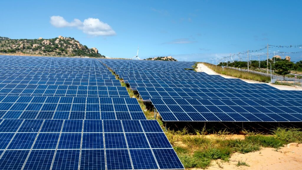 Quang Nguyen Vinh/Pexels