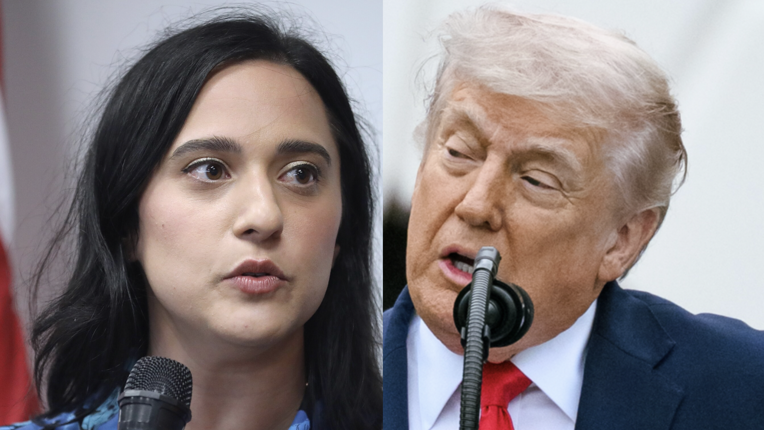 Rep. Ansari Calls Trump a "Vile, Racist Person" as Administration Deports Iranian Women to Central Africa — a Country the U.S. State Department Says to "Never Travel To"