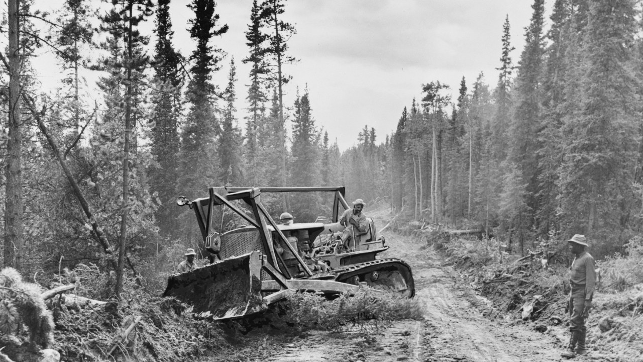 Bulldozer widening the Alaska Highway through spruce forest in 1942